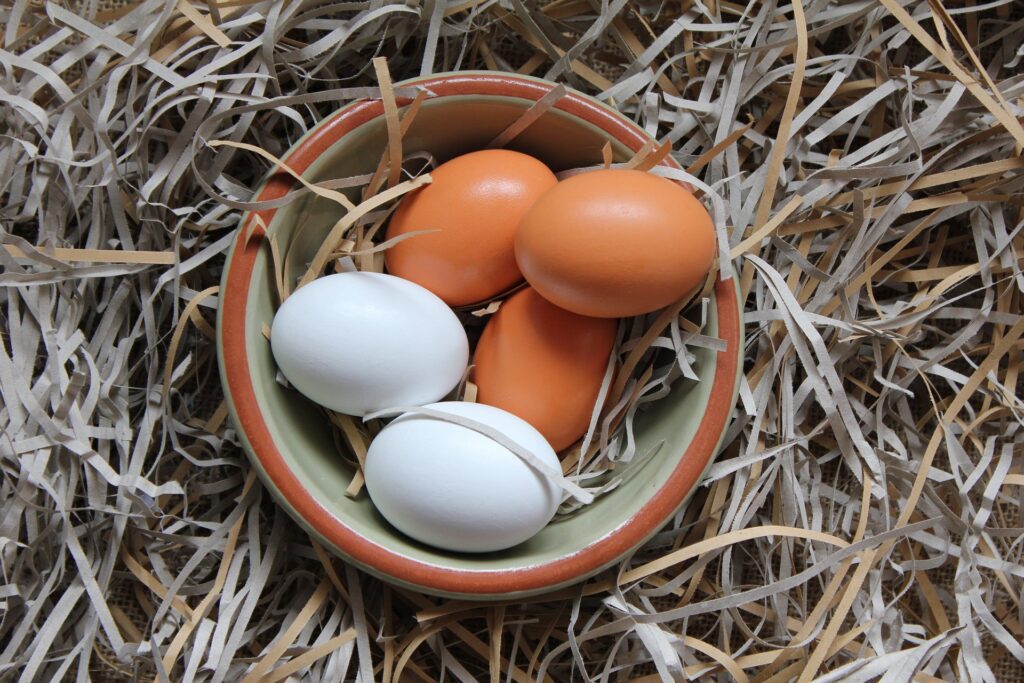 Brown and white farm fresh eggs in a bowl gathered from a flock of Calgary Chicken Rentals. 