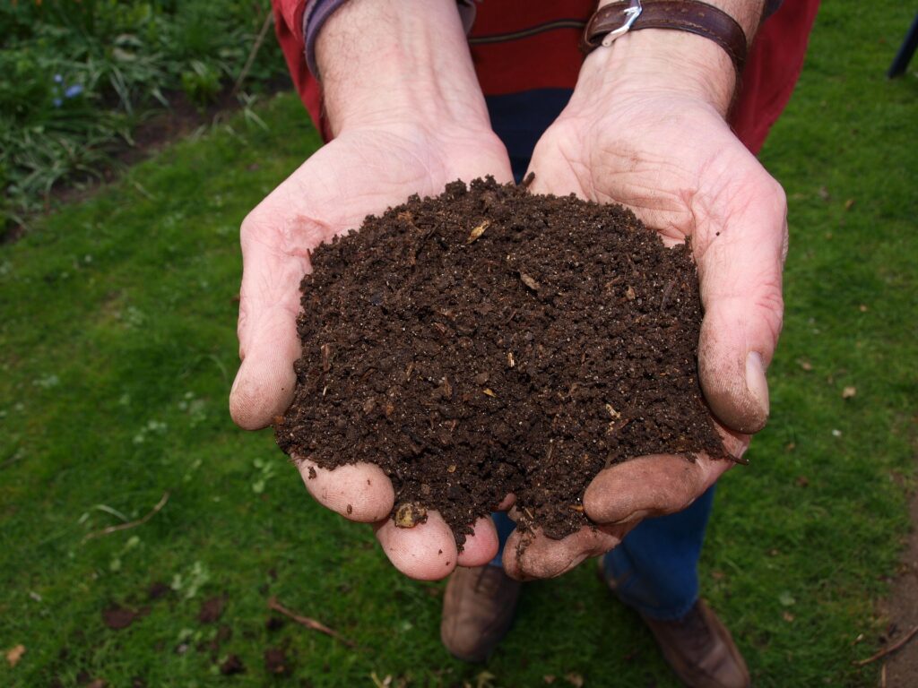 Two hands holding compost with grass in background.